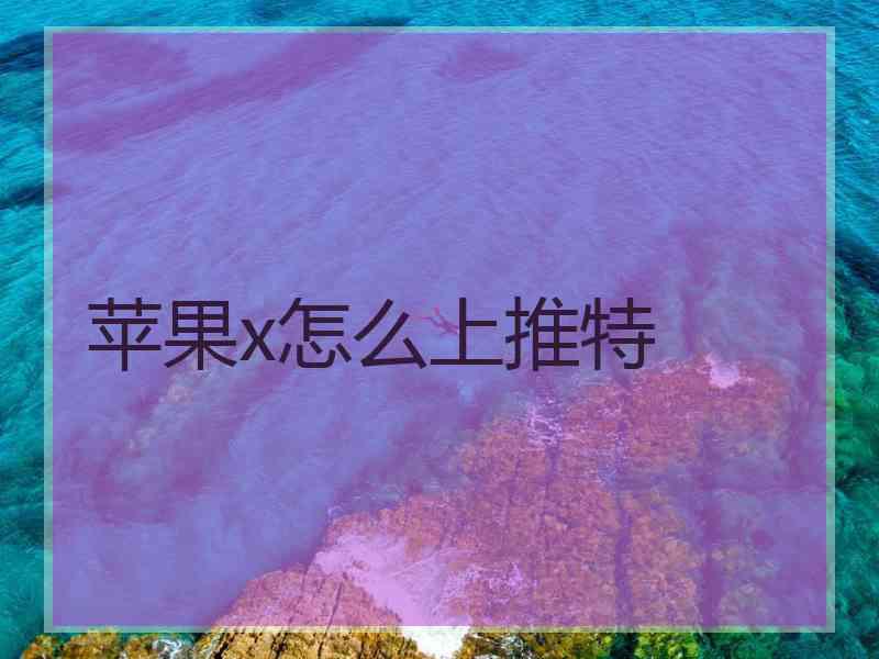 苹果x怎么上推特