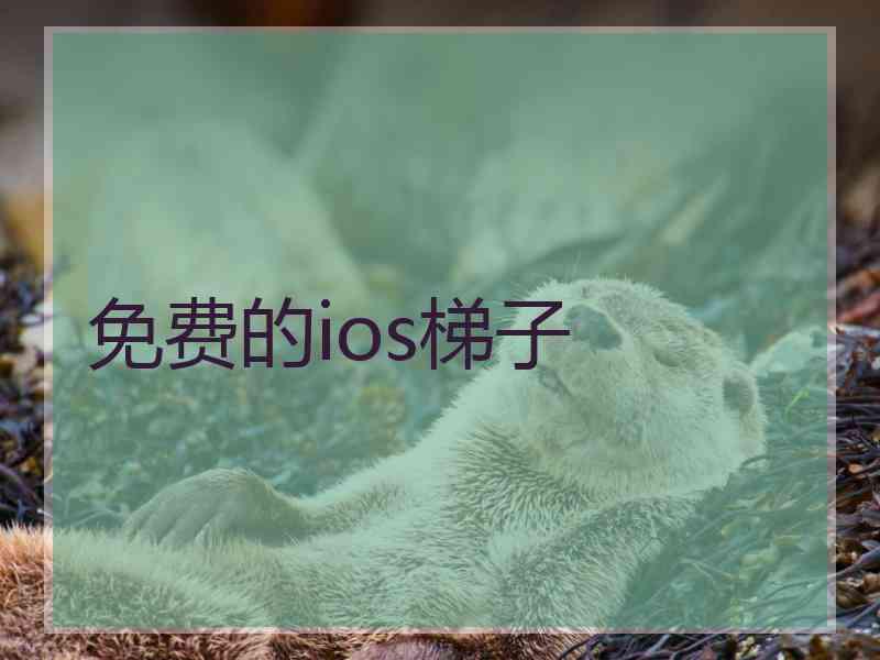 免费的ios梯子