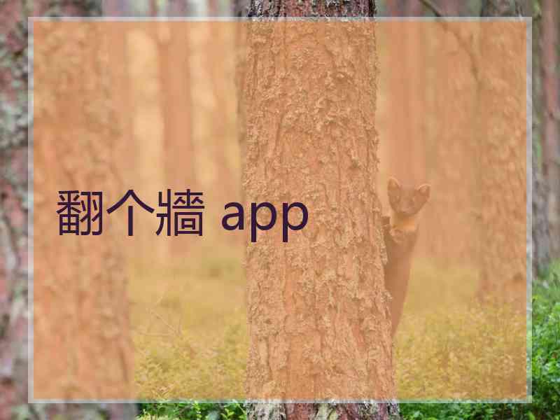 翻个牆 app