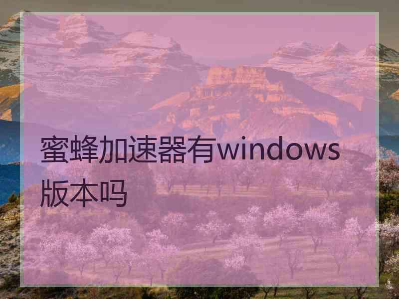 蜜蜂加速器有windows版本吗