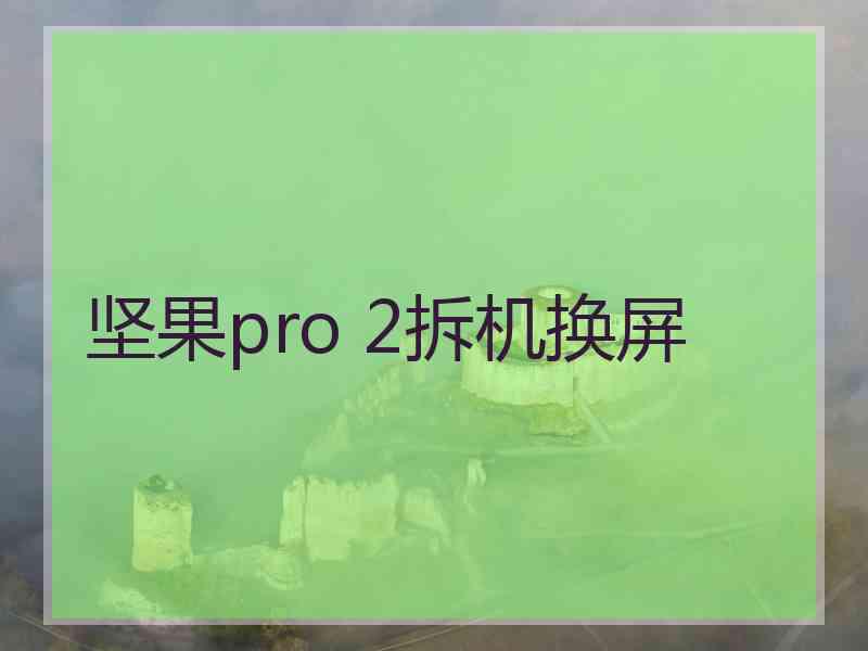 坚果pro 2拆机换屏