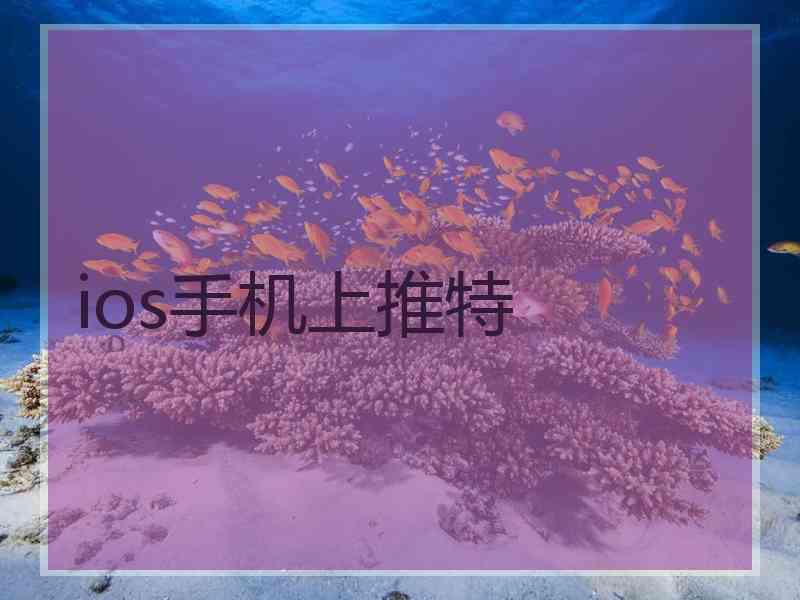 ios手机上推特