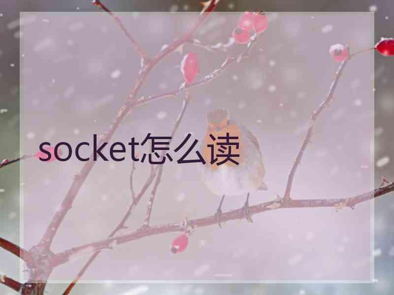 socket怎么读