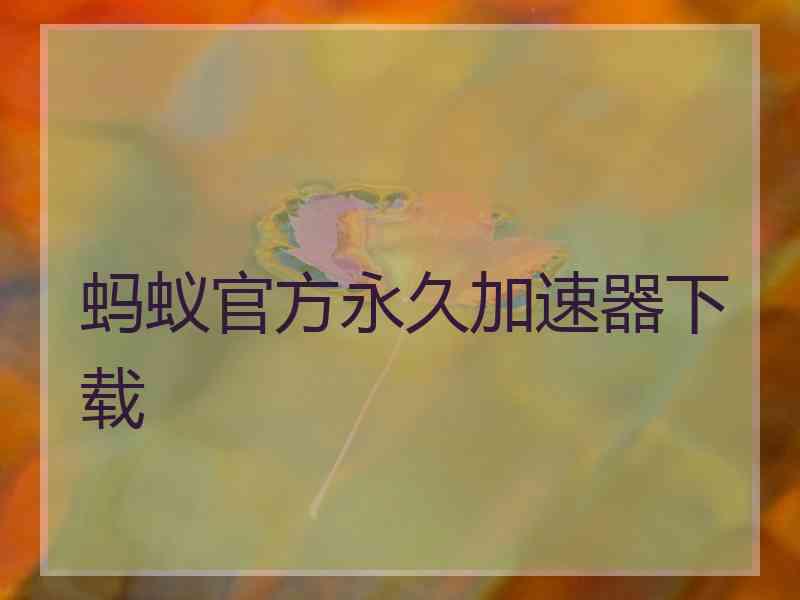 蚂蚁官方永久加速器下载