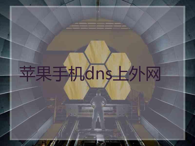 苹果手机dns上外网