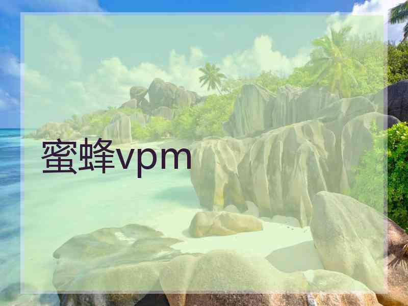 蜜蜂vpm