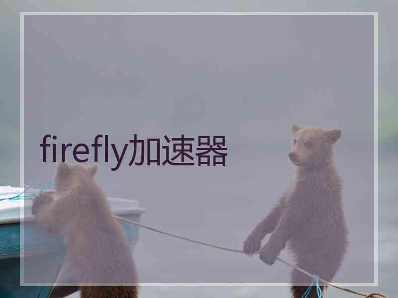 firefly加速器