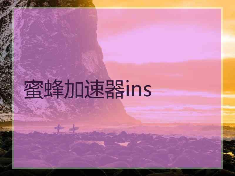 蜜蜂加速器ins