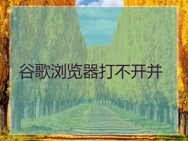 谷歌浏览器打不开并