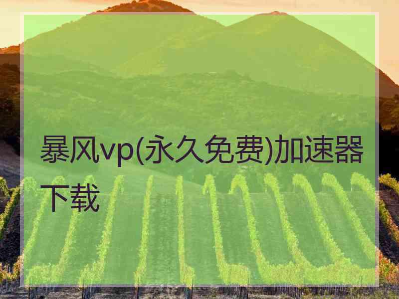 暴风vp(永久免费)加速器下载