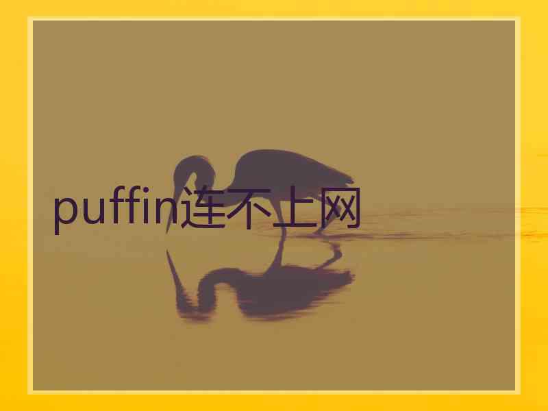 puffin连不上网