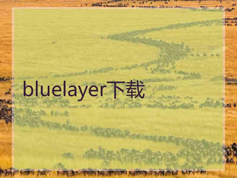 bluelayer下载