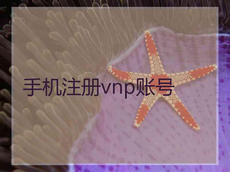 手机注册vnp账号