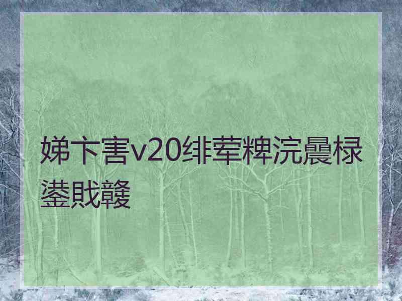 娣卞害v20绯荤粺浣曟椂鍙戝竷