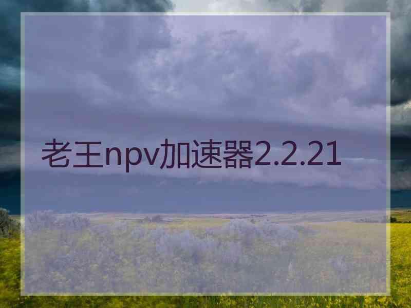 老王npv加速器2.2.21