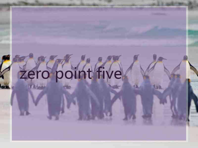 zero point five