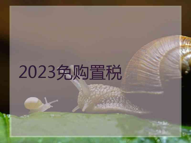 2023免购置税