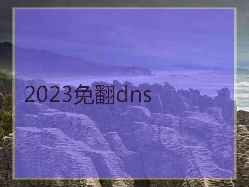 2023免翻dns