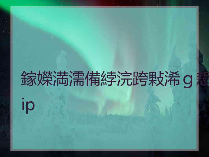 鎵嬫満濡備綍浣跨敤浠ｇ悊ip