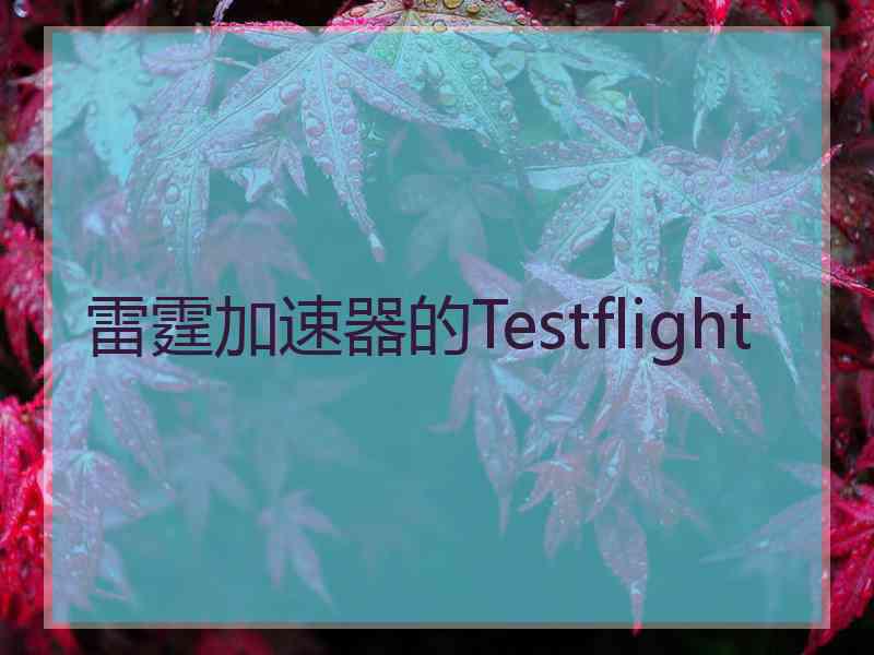 雷霆加速器的Testflight