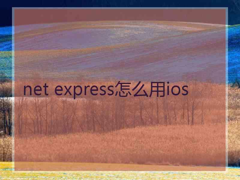 net express怎么用ios