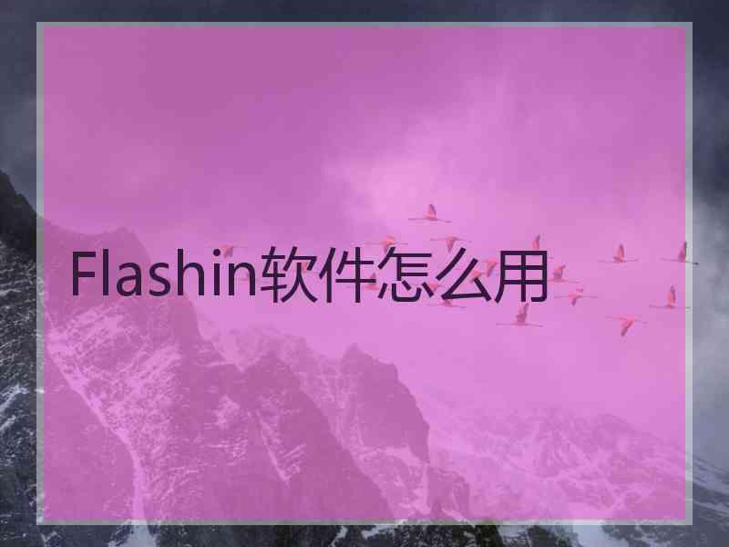 Flashin软件怎么用