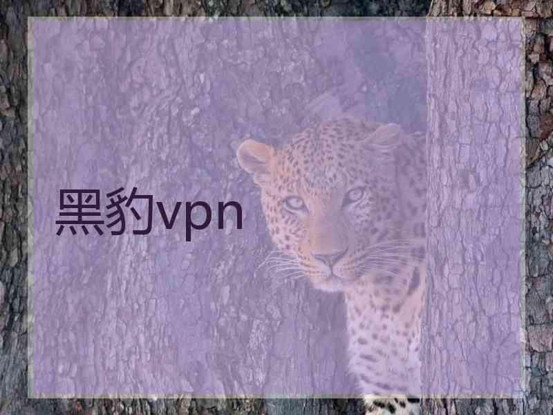 黑豹vpn