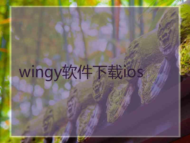 wingy软件下载ios