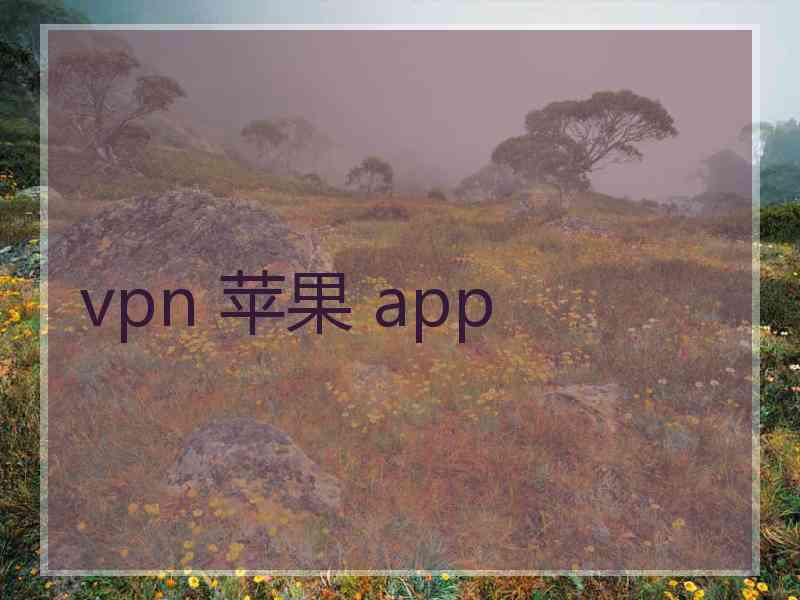 vpn 苹果 app