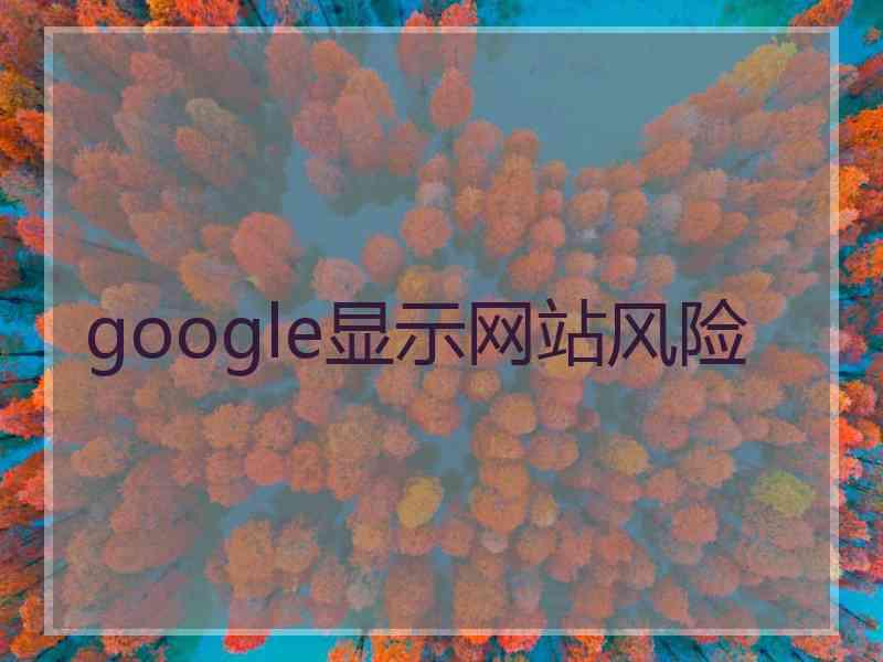 google显示网站风险