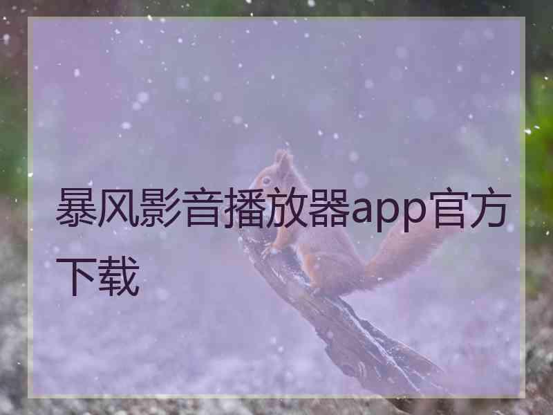 暴风影音播放器app官方下载