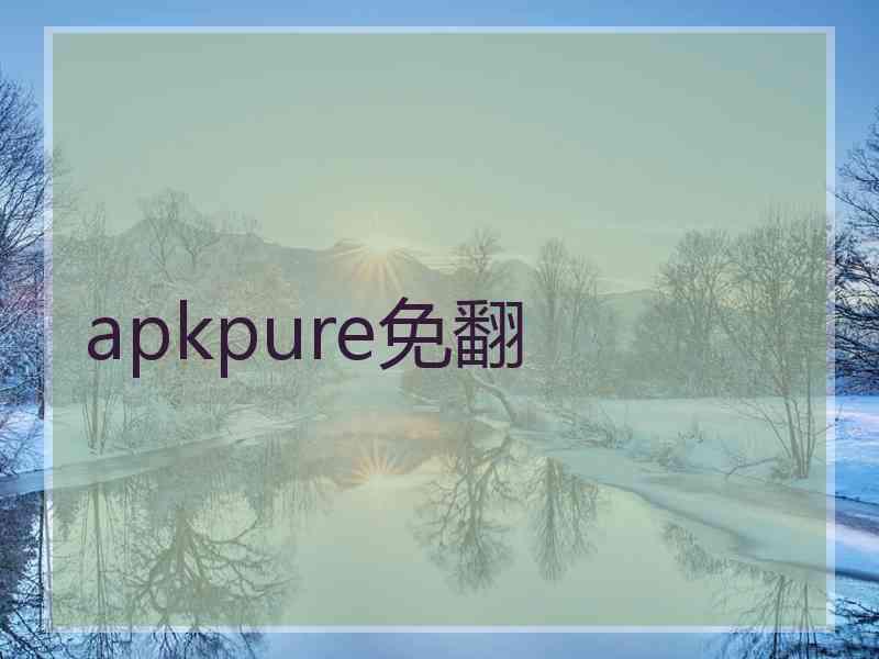 apkpure免翻