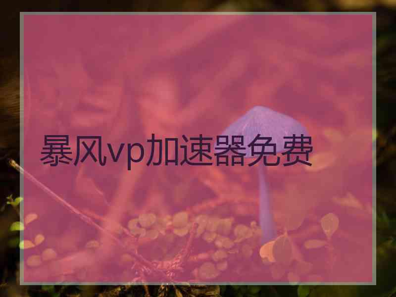 暴风vp加速器免费