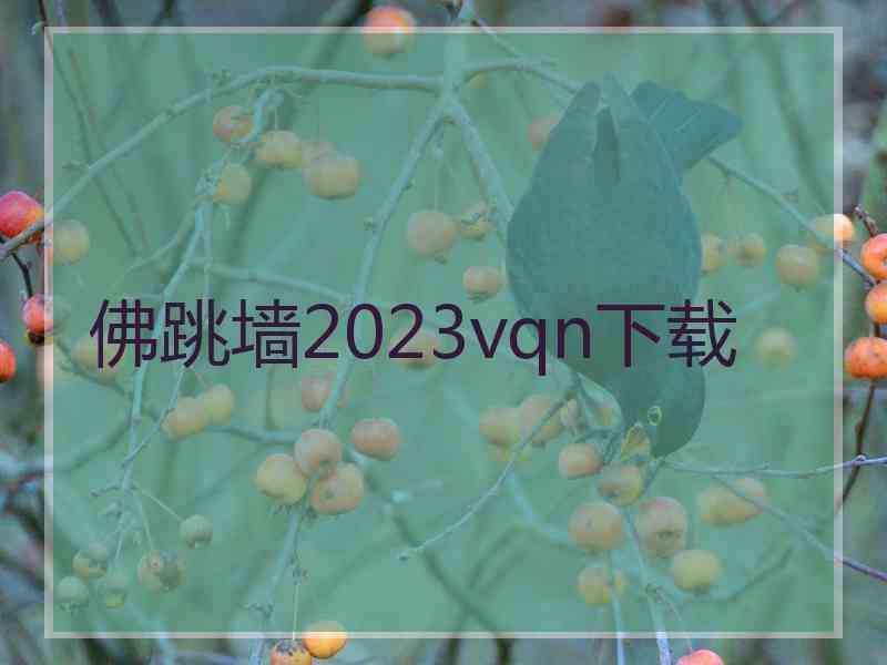 佛跳墙2023vqn下载