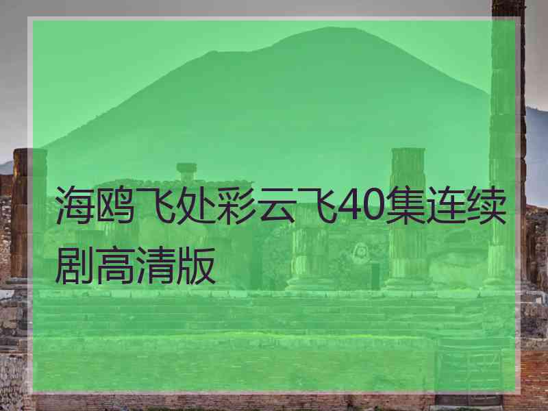 海鸥飞处彩云飞40集连续剧高清版