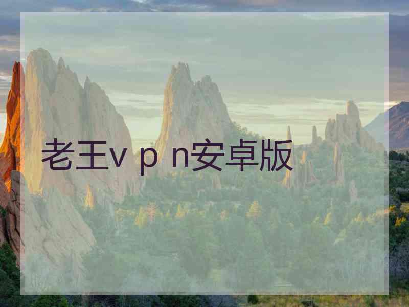 老王v p n安卓版