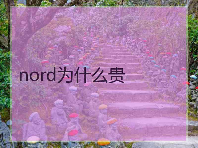 nord为什么贵