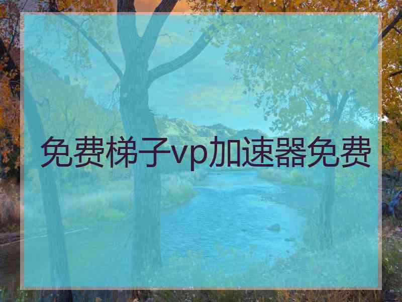 免费梯子vp加速器免费