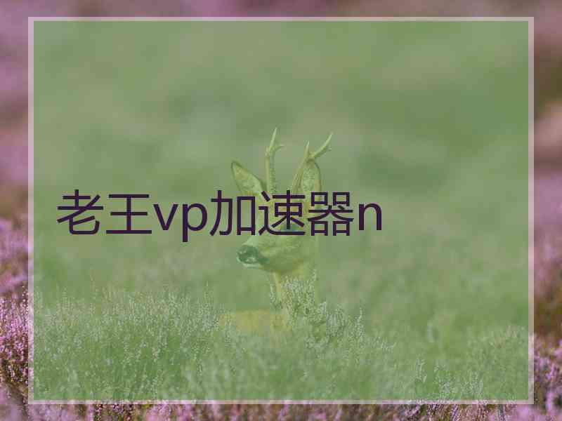 老王vp加速器n