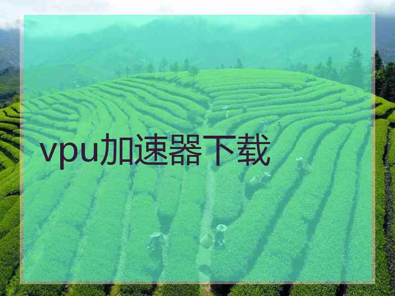 vpu加速器下载