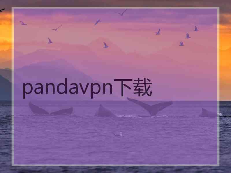 pandavpn下载