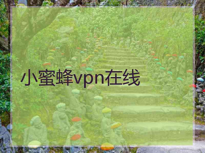 小蜜蜂vpn在线