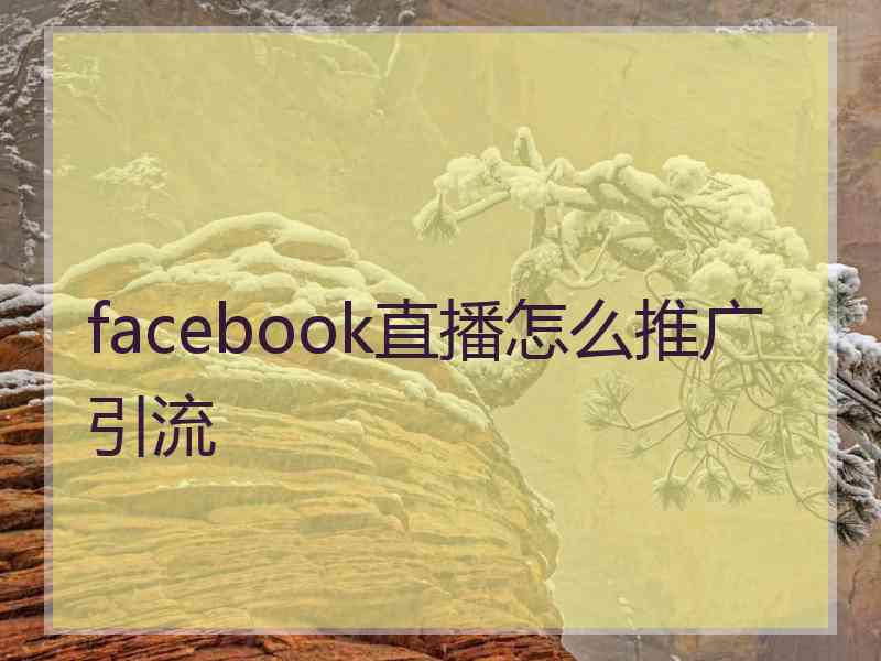 facebook直播怎么推广引流