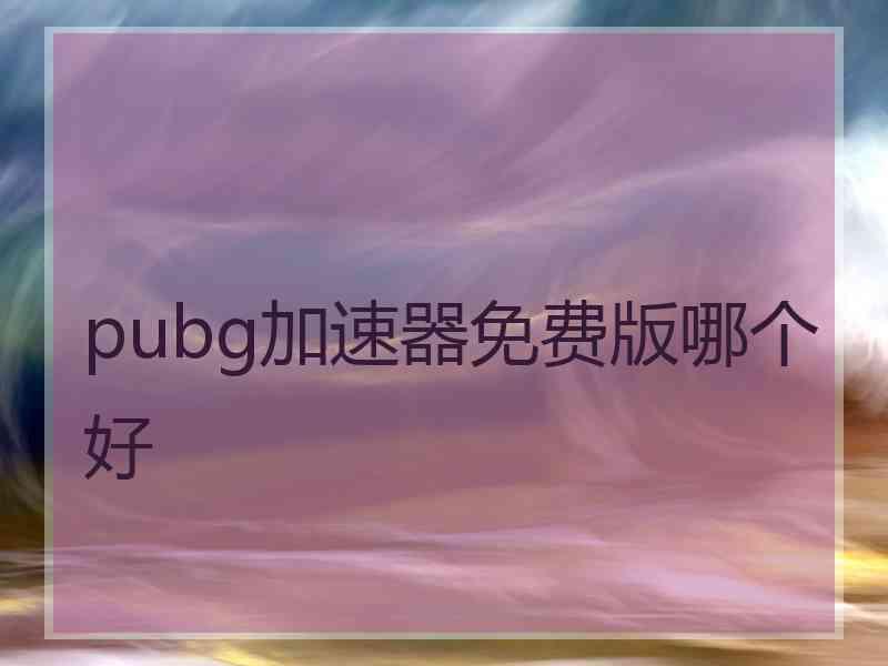 pubg加速器免费版哪个好