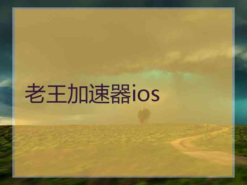 老王加速器ios