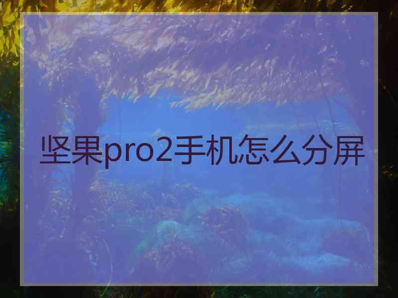 坚果pro2手机怎么分屏