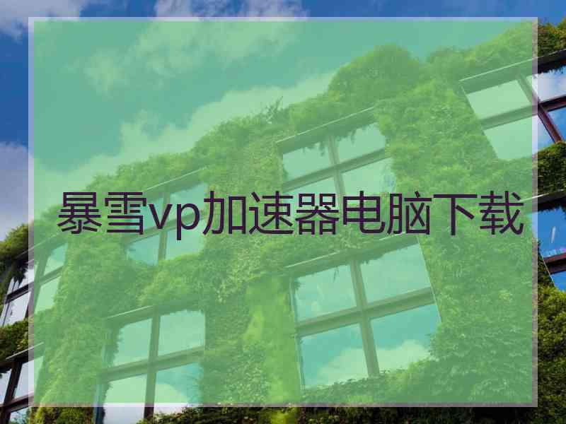 暴雪vp加速器电脑下载