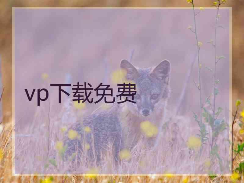 vp下载免费