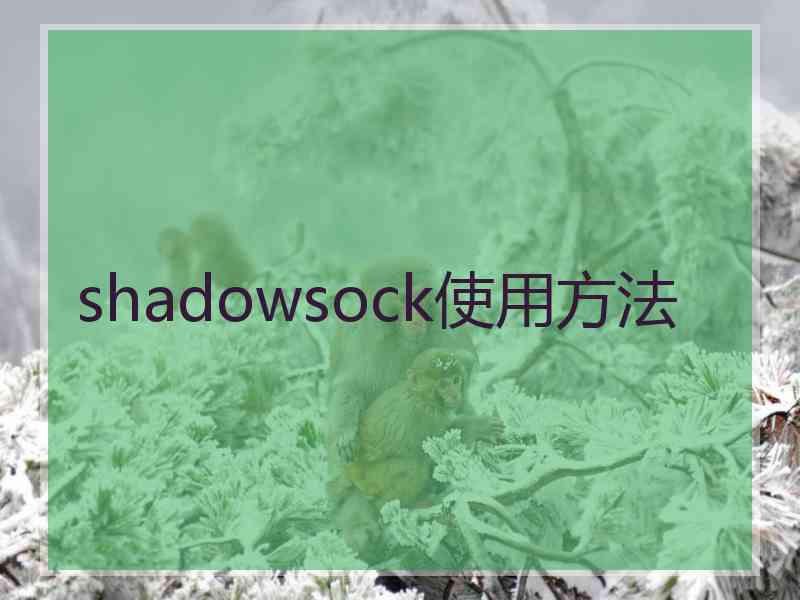 shadowsock使用方法