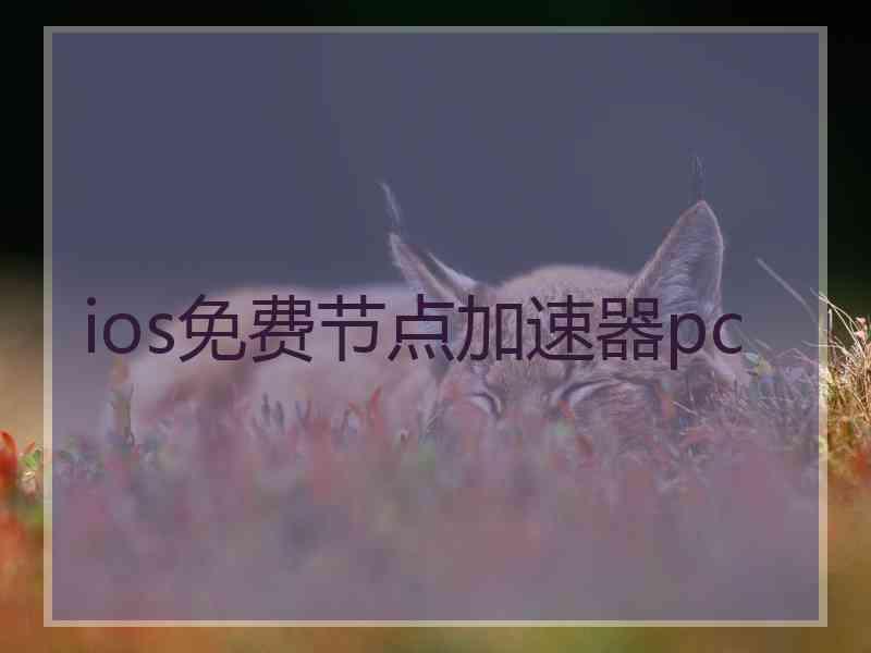 ios免费节点加速器pc